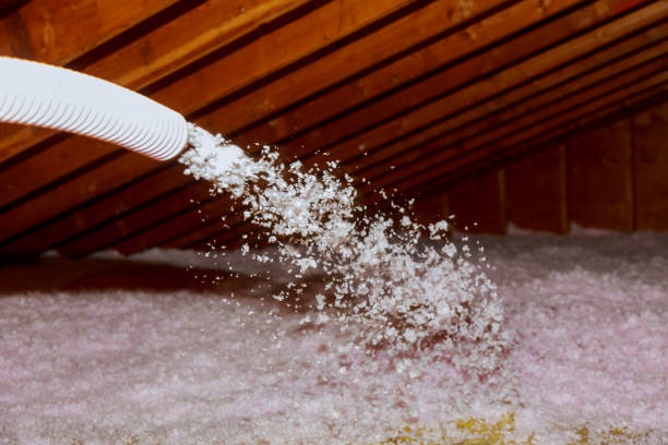 Best Insulation Installation Cost  in Winter Park, FL